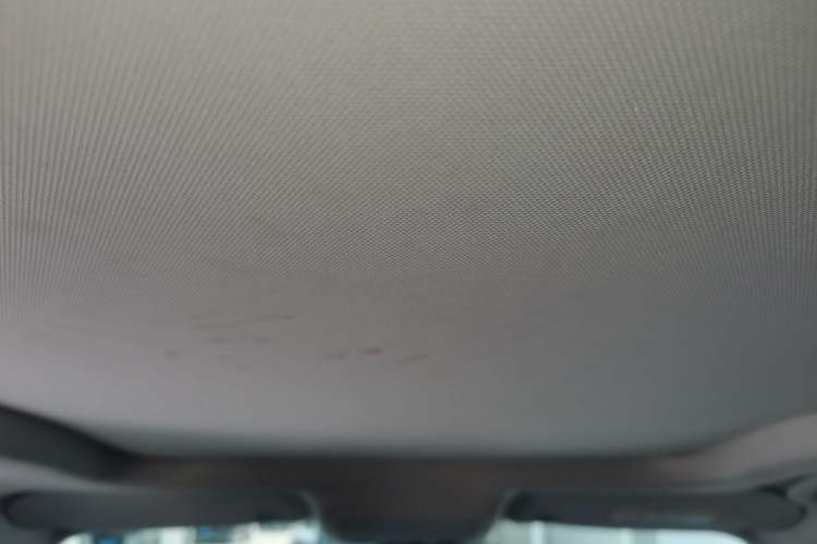 Used Ford Escape 2020 EcoBoost 245 Two-Wheel-Drive Titanium Edition Headliner