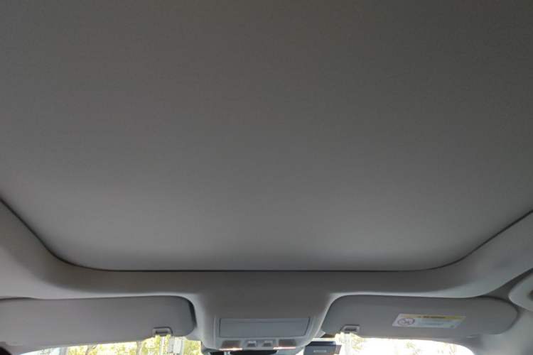 Used Ford Escape 2020 EcoBoost 245 Two-Wheel Drive Smart & Enjoyment Model Headliner