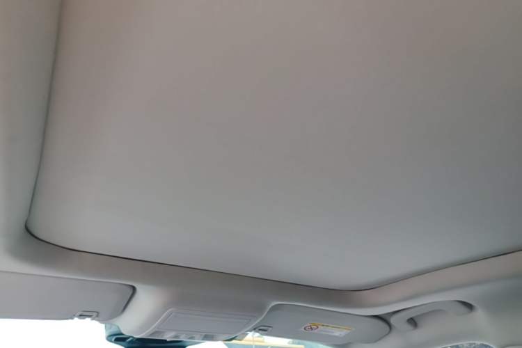 Used Ford Escape 2020 EcoBoost 245 Two-Wheel Drive Smart & Enjoyment Model Headliner