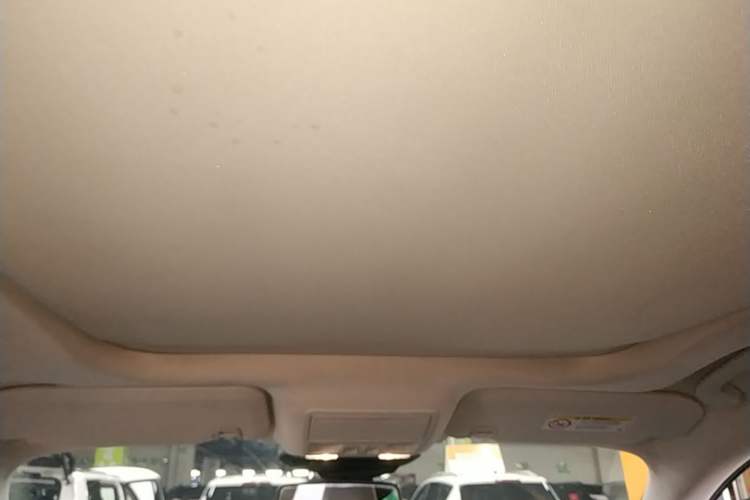 Used Ford Escape 2020 EcoBoost 245 Four-Wheel Drive Luxury Edition Headliner