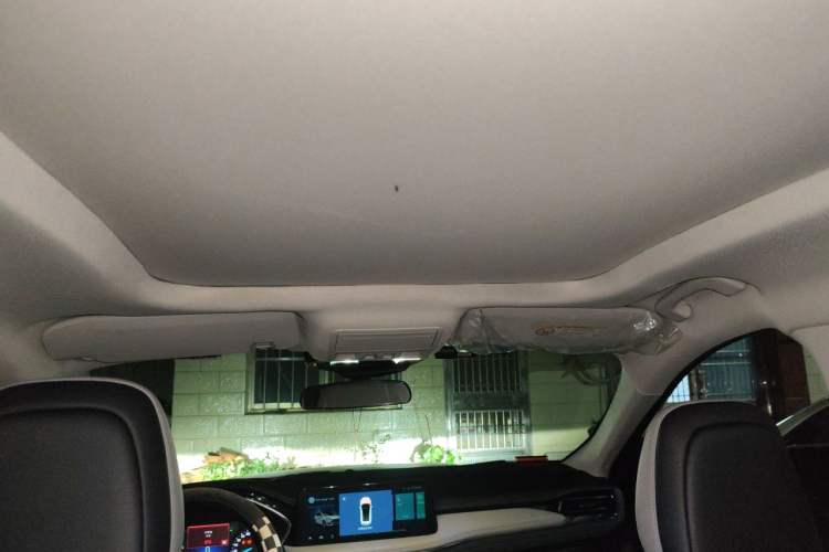 Used Ford Escape 2020 EcoBoost 245 Two-Wheel-Drive Titanium Edition Headliner