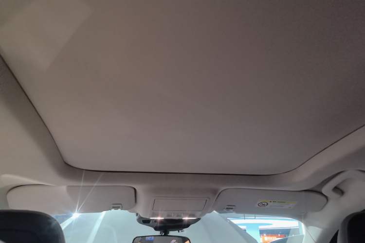 Used Ford Escape 2020 EcoBoost 245 Two-Wheel-Drive Titanium Edition Headliner