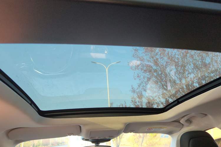 Used Ford Escape 2020 EcoBoost 245 Two-Wheel-Drive Titanium Edition Headliner