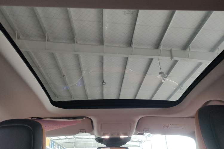 Used Ford Escape 2020 EcoBoost 245 Two-Wheel Drive Smart & Enjoyment Model Headliner