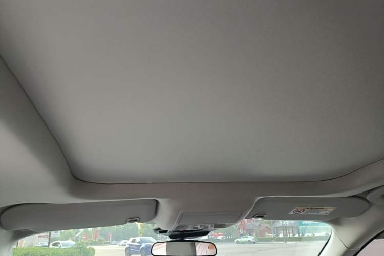 Used Ford Escape 2020 EcoBoost 245 Two-Wheel-Drive Titanium Edition Headliner