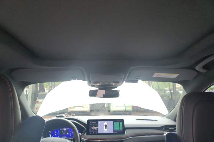 Used Ford Escape 2020 EcoBoost 245 Four-Wheel Drive ST-LINE Deluxe Edition Headliner