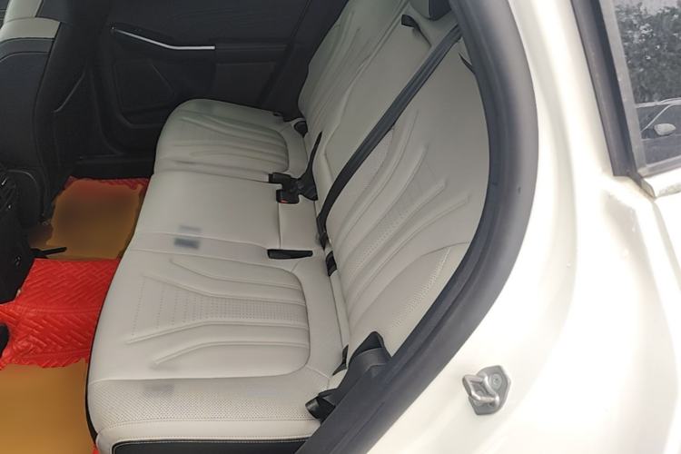 Used Ford Escape 2020 EcoBoost 245 Two-Wheel-Drive Titanium Edition Left Rear Seat