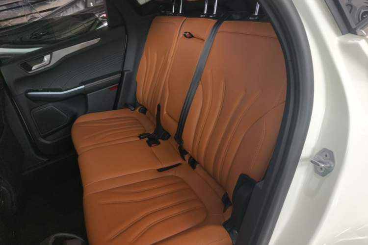 Used Ford Escape 2020 EcoBoost 245 Four-Wheel Drive Luxury Edition Left Rear Seat
