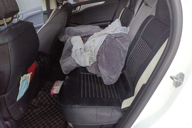 Used Ford Escape 2020 EcoBoost 245 Two-Wheel-Drive Comfort Edition Left Rear Seat