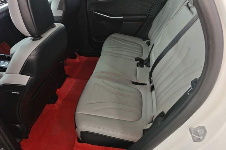 Used Ford Escape 2020 EcoBoost 245 Four-Wheel Drive Luxury Edition Left Rear Seat