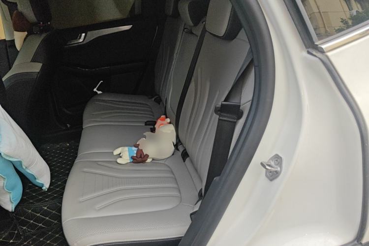 Used Ford Escape 2020 EcoBoost 245 Two-Wheel-Drive Titanium Edition Left Rear Seat