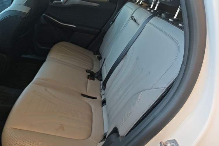 Used Ford Escape 2020 EcoBoost 245 Four-Wheel Drive Luxury Edition Left Rear Seat