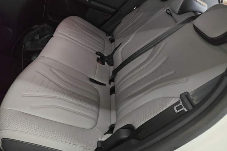 Used Ford Escape 2020 EcoBoost 245 Two-Wheel-Drive Titanium Edition Left Rear Seat