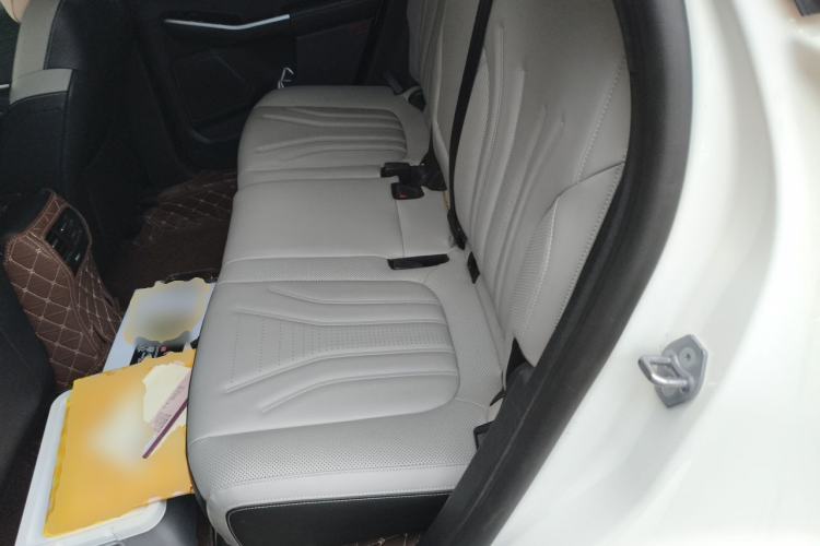 Used Ford Escape 2020 EcoBoost 245 Two-Wheel-Drive Titanium Edition Left Rear Seat