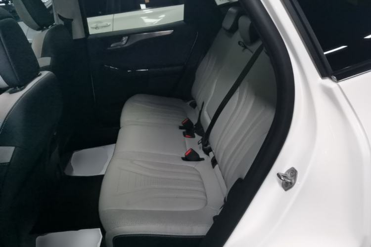 Used Ford Escape 2020 EcoBoost 245 Two-Wheel-Drive Titanium Edition Left Rear Seat