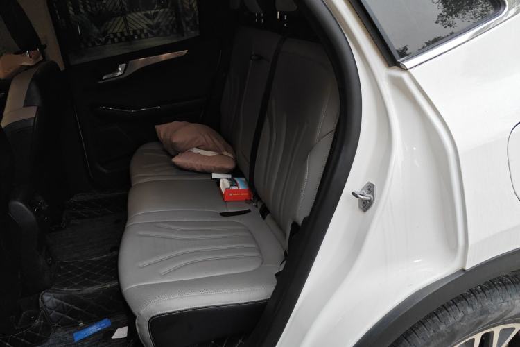 Used Ford Escape 2020 EcoBoost 245 Two-Wheel-Drive Titanium Edition Left Rear Seat