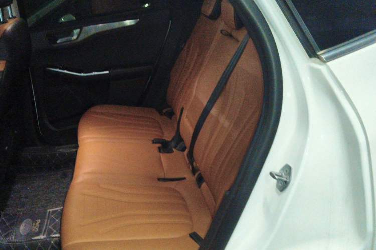 Used Ford Escape 2020 EcoBoost 245 Four-Wheel Drive Luxury Edition Left Rear Seat