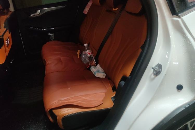 Used Ford Escape 2020 EcoBoost 245 Two-Wheel-Drive Comfort Edition Left Rear Seat