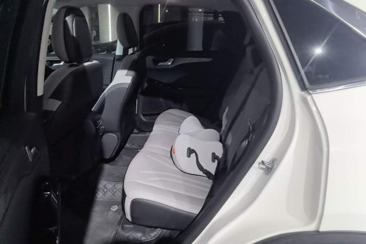 Used Ford Escape 2020 EcoBoost 245 Two-Wheel-Drive Titanium Edition Left Rear Seat