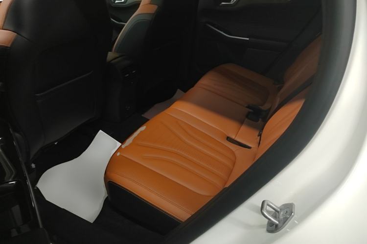 Used Ford Escape 2020 EcoBoost 245 Four-Wheel Drive Luxury Edition Left Rear Seat
