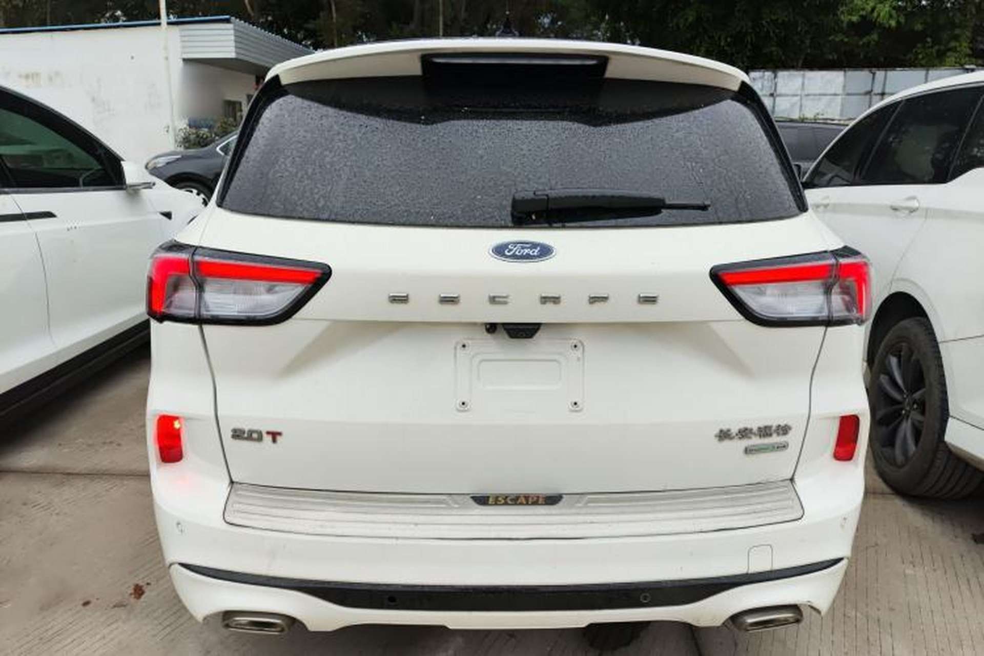 Used Ford Escape 2020 EcoBoost 245 Four-Wheel Drive ST-LINE Deluxe Edition Rear