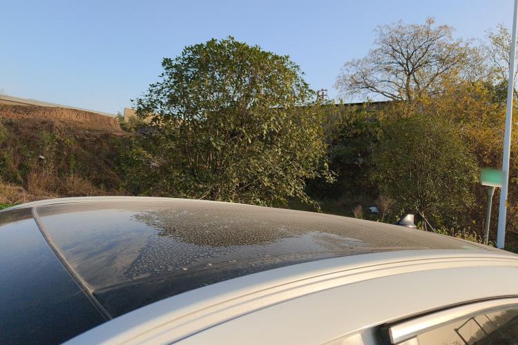 Used Ford Escape 2020 EcoBoost 245 Two-Wheel-Drive Titanium Edition Roof