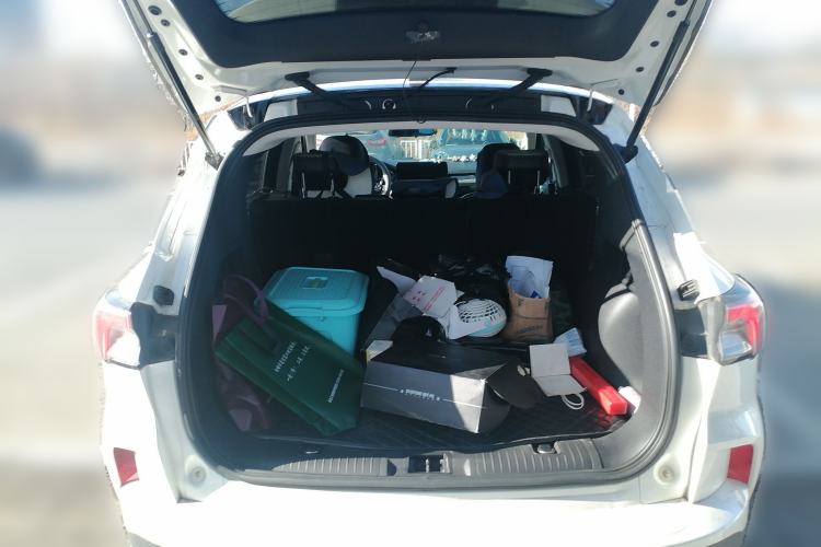 Used Ford Escape 2020 EcoBoost 245 4x4 Enjoyment Model Trunk