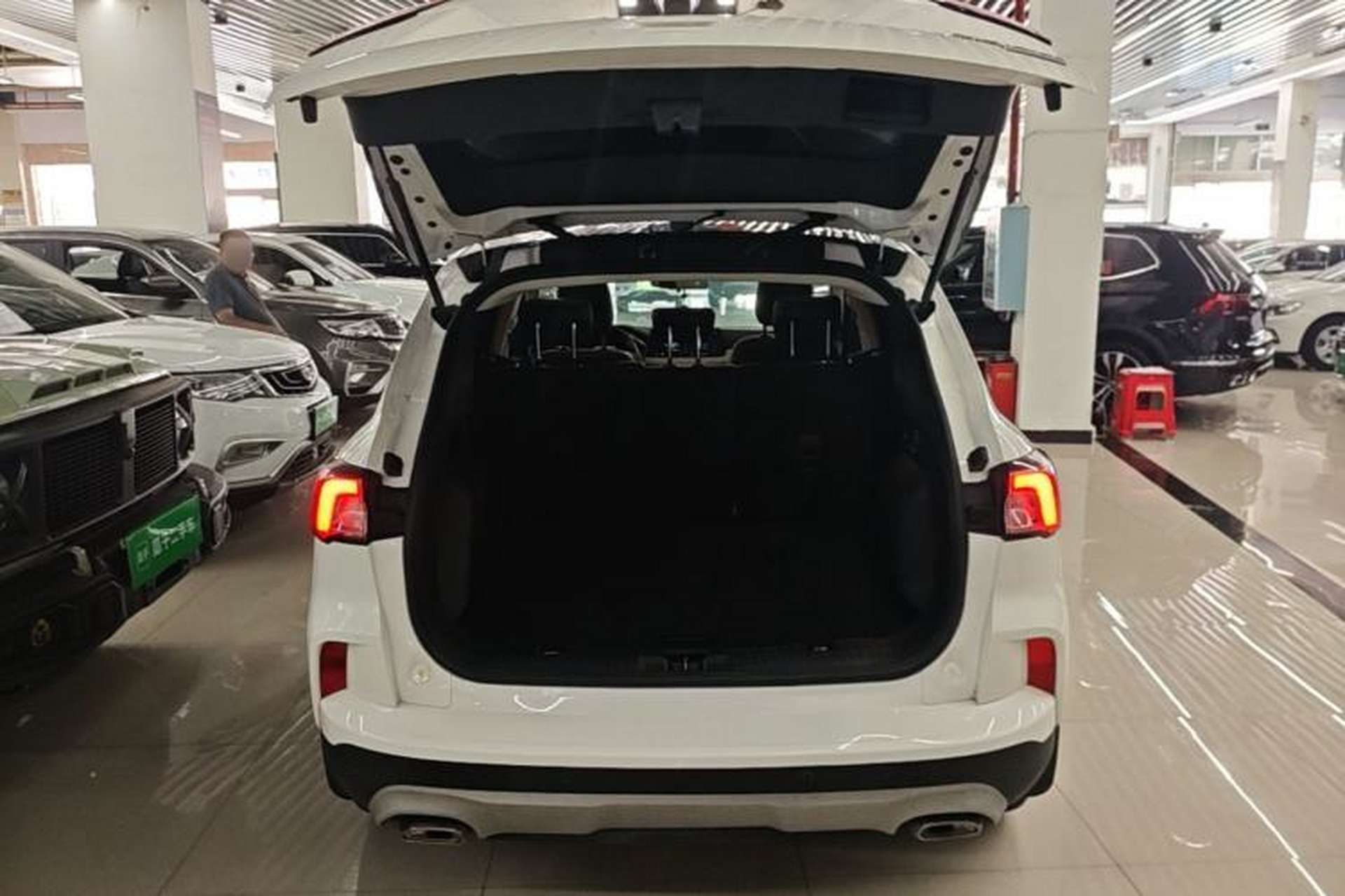 Used Ford Escape 2020 EcoBoost 245 4x4 Enjoyment Model Trunk