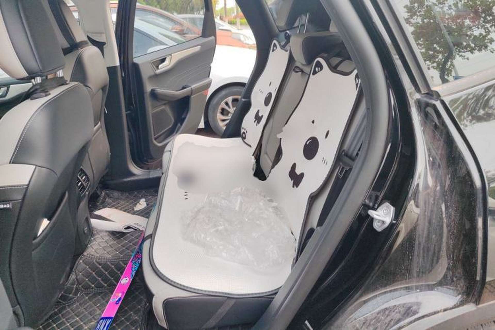 Used Ford Escape 2024 EcoBoost 245 Two-Wheel-Drive Comfort Edition Left Rear Seat