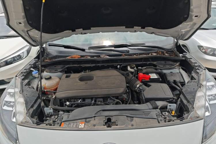 Used Ford Escape 2024 EcoBoost 245 Four-Wheel Drive ST-Line Pro Trim Engine Bay