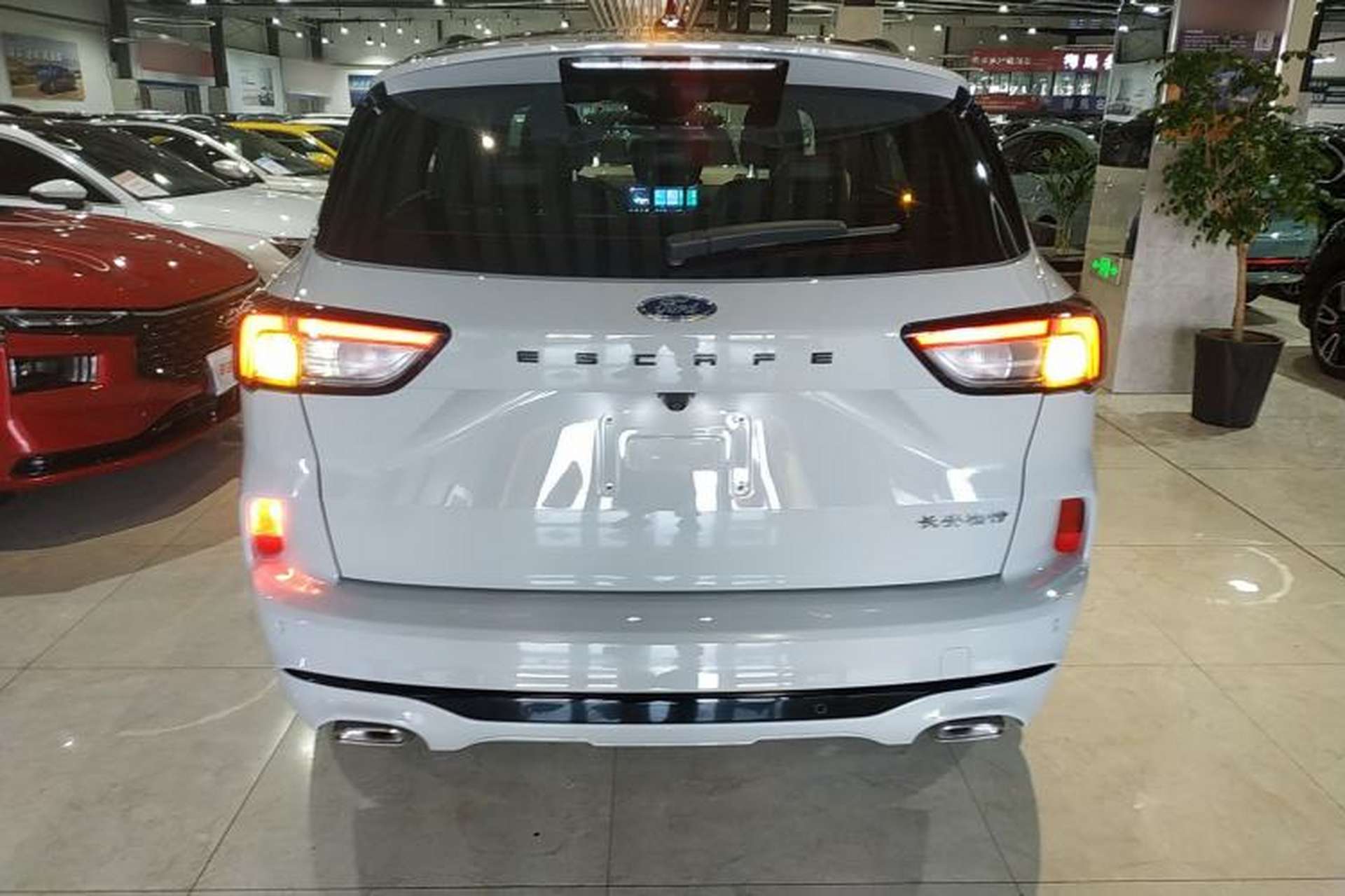 Used Ford Escape 2024 EcoBoost 245 Four-Wheel Drive ST-Line Pro Trim Rear