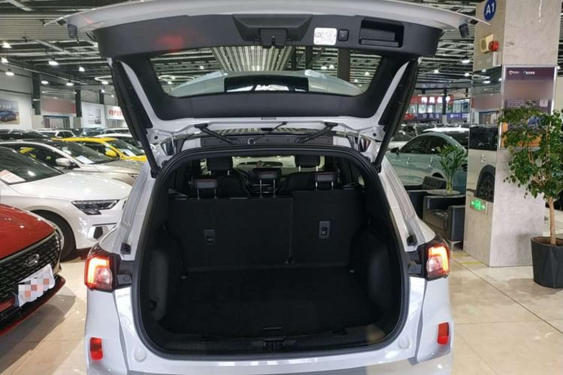 Used Ford Escape 2024 EcoBoost 245 Four-Wheel Drive ST-Line Pro Trim Trunk