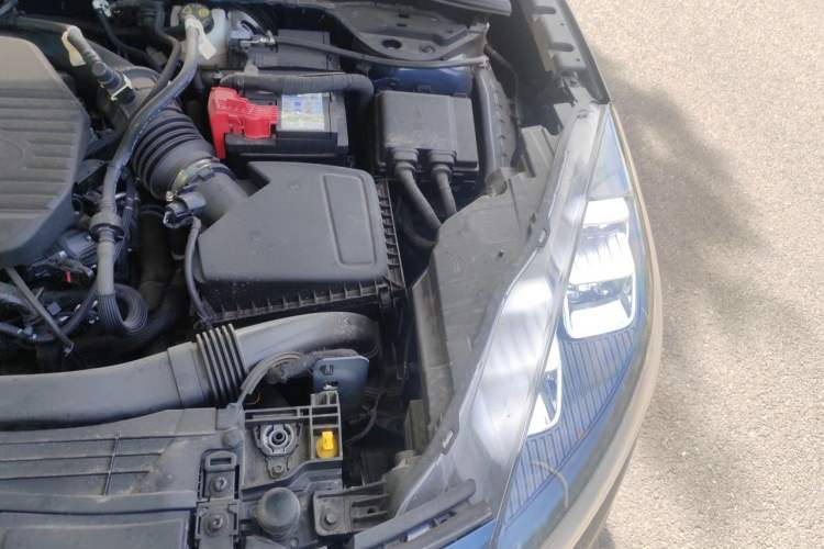 Used Ford Escape 2024 EcoBoost 245 Two-Wheel-Drive Titanium Edition Engine Bay Left