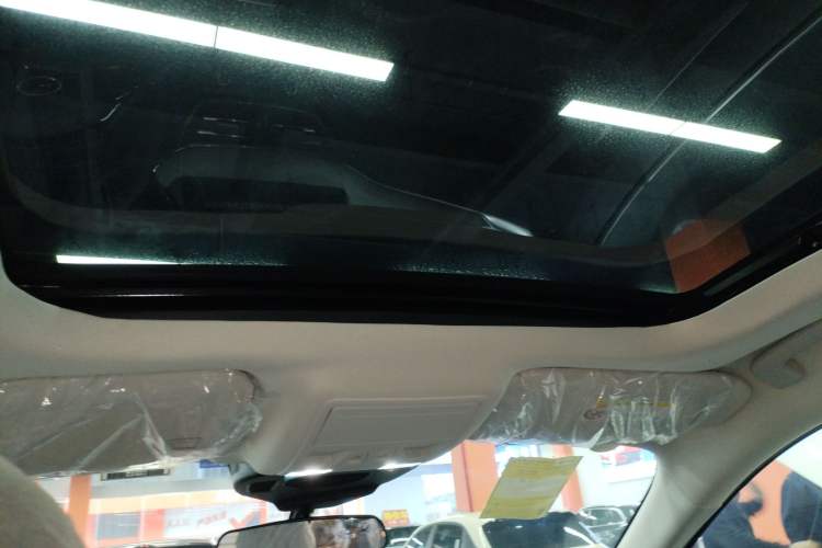 Used Ford Escape 2024 EcoBoost 245 Two-Wheel-Drive Titanium Edition Headliner
