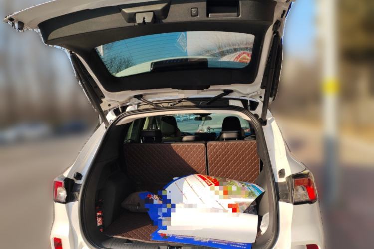 Used Ford Escape 2024 EcoBoost 245 Two-Wheel-Drive Titanium Edition Trunk