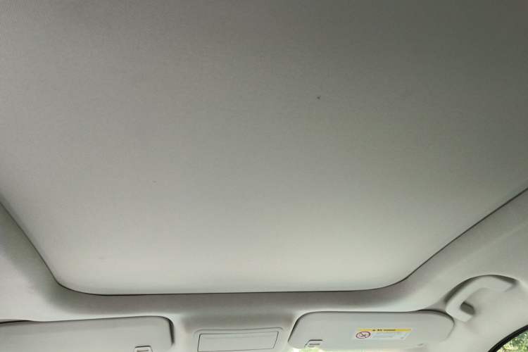 Used Ford Escape New Energy 2021 PHEV model Headliner