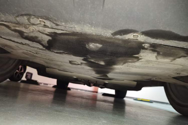Used Ford Escape New Energy 2021 PHEV model Chassis Front