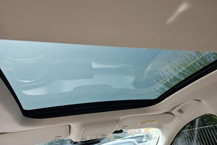 Used Ford Escape New Energy 2021 PHEV model Headliner