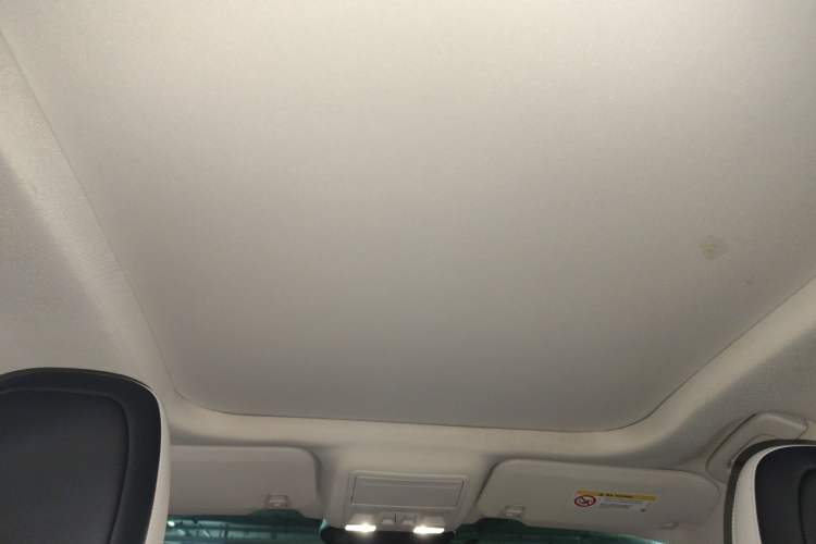 Used Ford Escape New Energy 2021 PHEV model Headliner