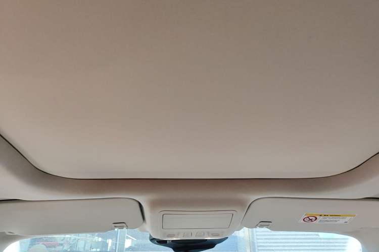 Used Ford Escape New Energy 2021 PHEV model Headliner