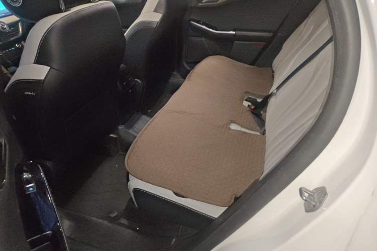 Used Ford Escape New Energy 2021 PHEV model Left Rear Seat