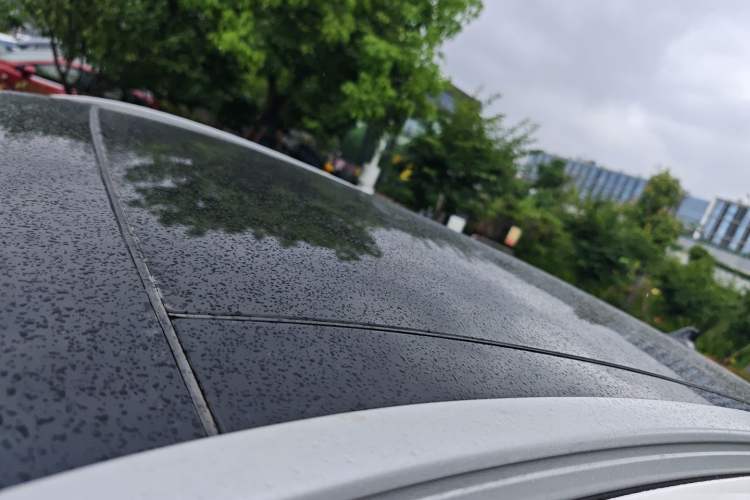 Used Ford Escape New Energy 2021 PHEV model Roof