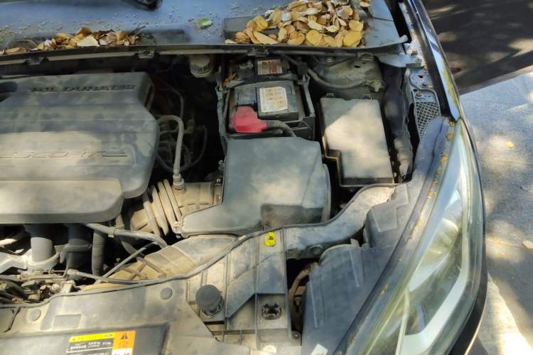 Used Ford Escort 2015 1.5L Manual Comfort Model Engine Bay Left
