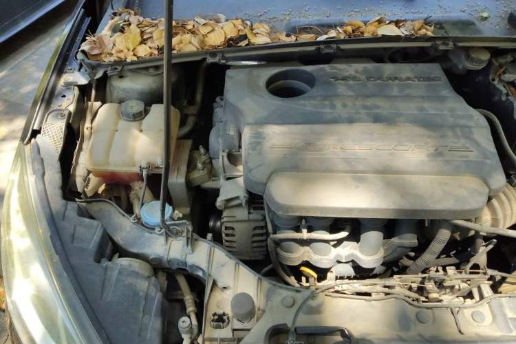 Used Ford Escort 2015 1.5L Manual Comfort Model Engine Bay Right