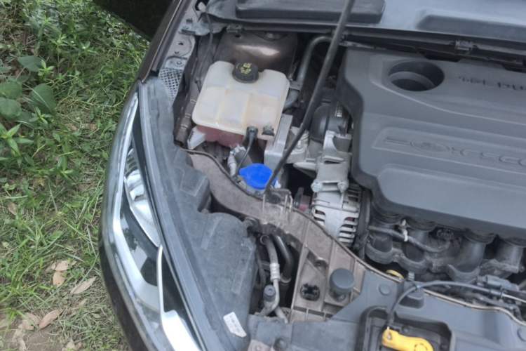 Used Ford Escort 2015 1.5L Automatic Fashion Model Engine Bay Right