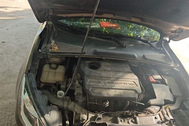 Used Ford Escort 2015 1.5L Manual Comfort Model Engine Bay Right