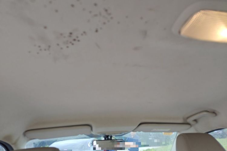 Used Ford Escort 2015 1.5L Automatic Comfort Edition Headliner