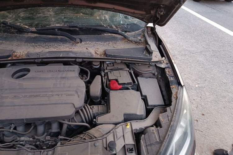 Used Ford Escort 2015 1.5L Automatic Fashion Model Engine Bay Left