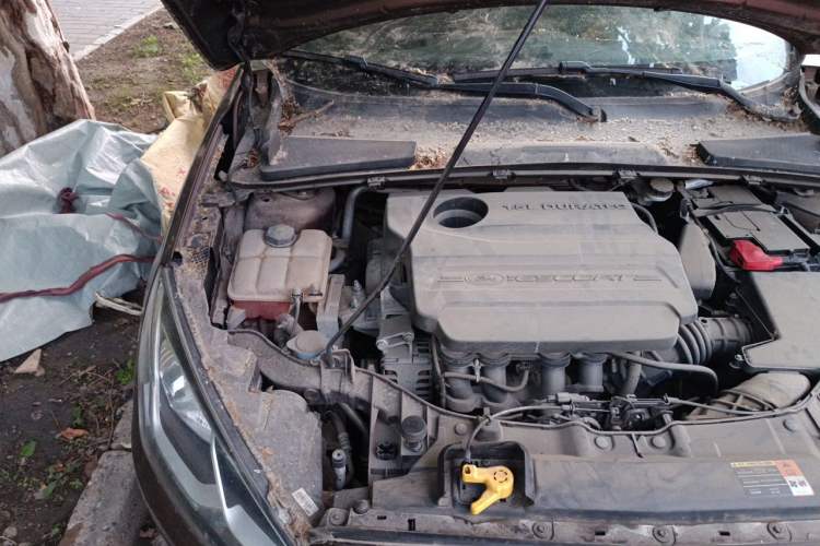Used Ford Escort 2015 1.5L Automatic Fashion Model Engine Bay Right