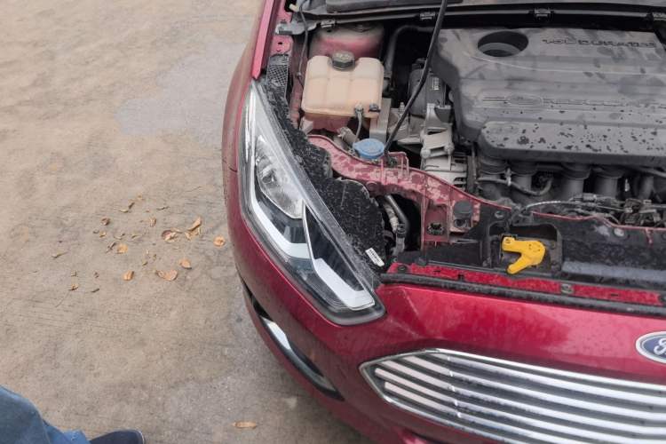 Used Ford Escort 2015 1.5L Automatic Fashion Model Engine Bay Right